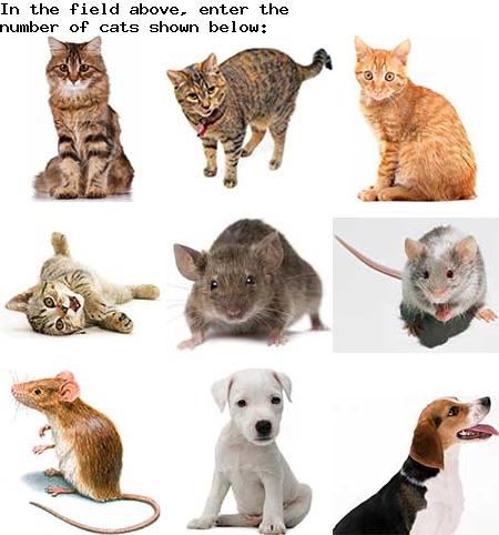 captcha to verify human, not robot